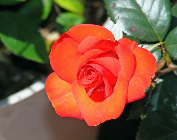 Powerhouse photo ph2013_06190010_zps4221d02b.jpg